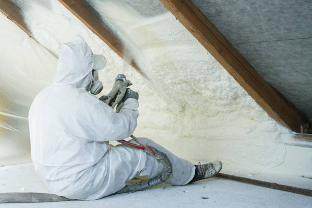 Best Thermal Imaging for Insulation Gaps in Altamont, IL